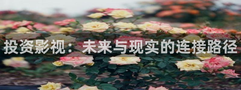 《四库影视》电视剧在线观看-好看影院：投资影视：未来与现实的连接路径