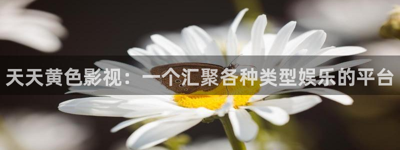 四虎好看影院