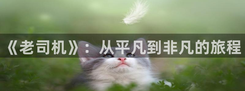 《四库影视》电视剧在线观看-好看影院