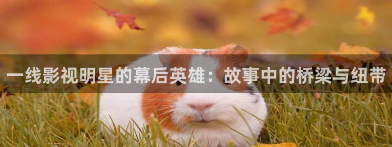 四虎好看影院