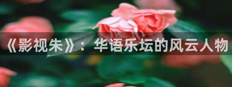 好看影院在线观看：《影视朱》：华语乐坛的风云人物